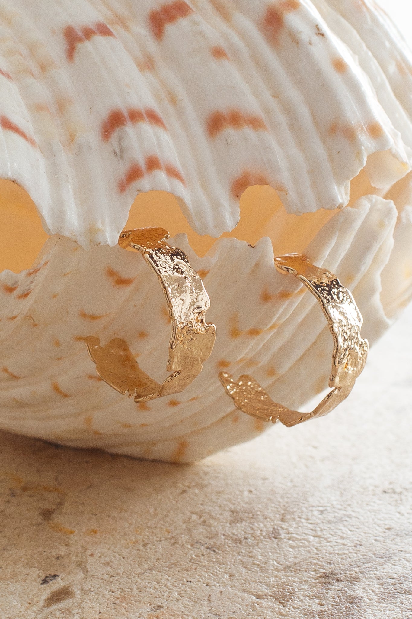 Textured Gold Sarissa Hoop Earrings