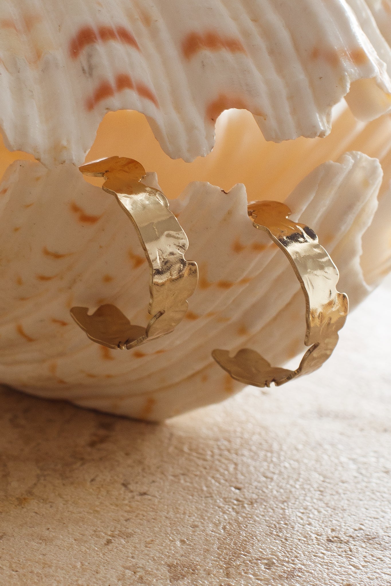 Textured Gold Shari Hoop Earrings