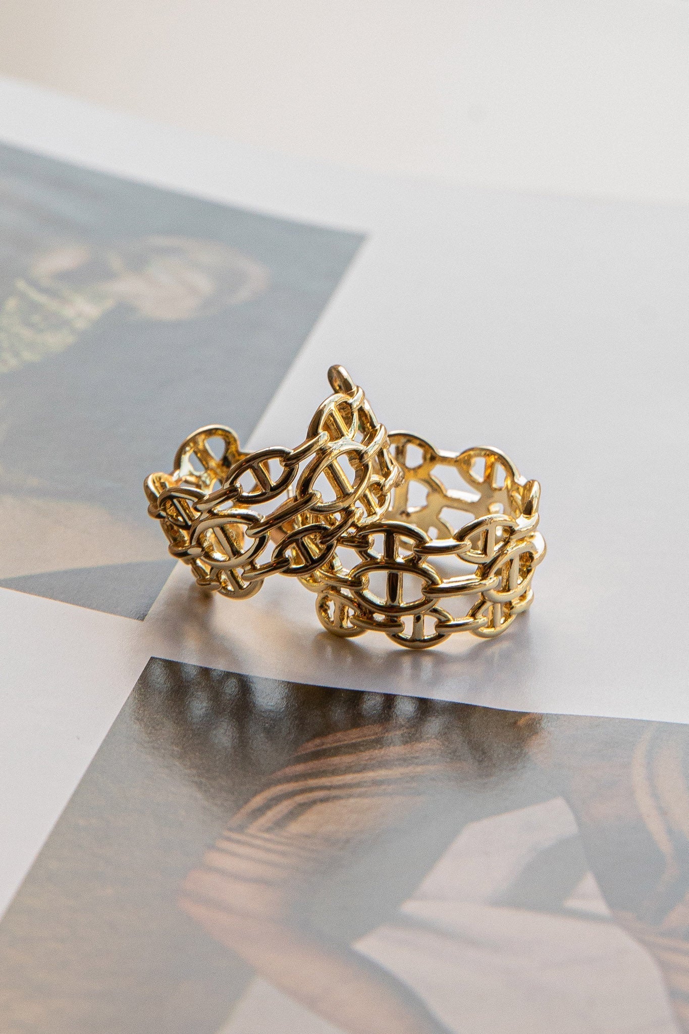 Georgiana Open Hoop Earrings in Gold