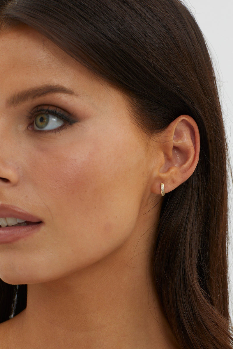 Zelda Gold Paved Zircon Hoop Earrings